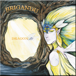 Dragon Fly Cover